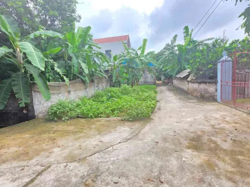 Cơ Hội Đầu Tư Hiếm Có: Lô Đất Đẹp Ngay Trung Tâm Đức Hợp!... Bán đất tại Đức Hợp, Hưng Yên 01