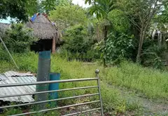 Đất Vườn Lớn Gần Bệnh Viện Nhi Đồng 3 - Cơ Hội Vàng Đầu Tư... Bán đất tại Tân Nhựt, Hồ Chí Minh 06