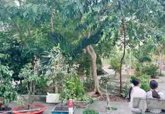 Nhà hẻm xe hơi 5m Phạm Thế Hiển - Cơ hội sở hữu giá tốt Q8... Bán nhà riêng tại Bình Đông, Hồ Chí Minh 07