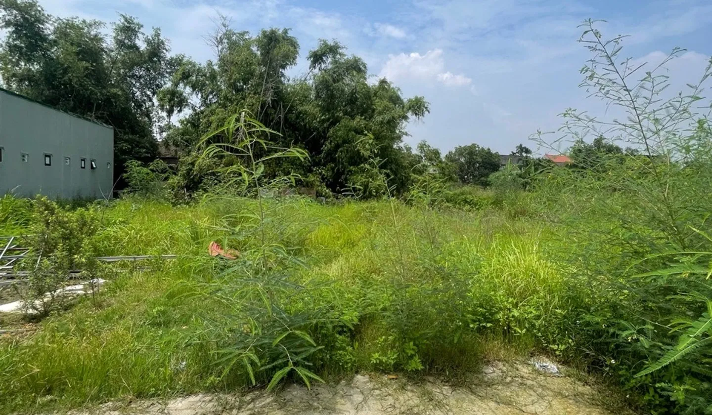 Bán đất Phường An Bình gần khu công nghiệp, ô tô đỗ cửa, diện tích 99,5 m2... Bán đất tại Thuận Thành, Bắc Ninh 01