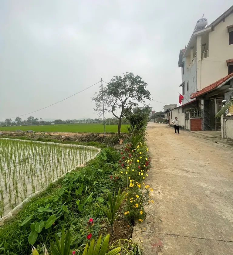 Đất Vuông Vắn Quang Tiến Sóc Sơn - Vị Trí Vàng Cho Nhà Đầu Tư... Bán đất tại Sóc Sơn, Hà Nội 01