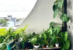 Nhà 3 tầng rộng 80m² khu Tôn Đản, hẻm ô tô, giá 4.73 tỷ... Bán nhà riêng tại Cẩm Lệ, Đà Nẵng 07