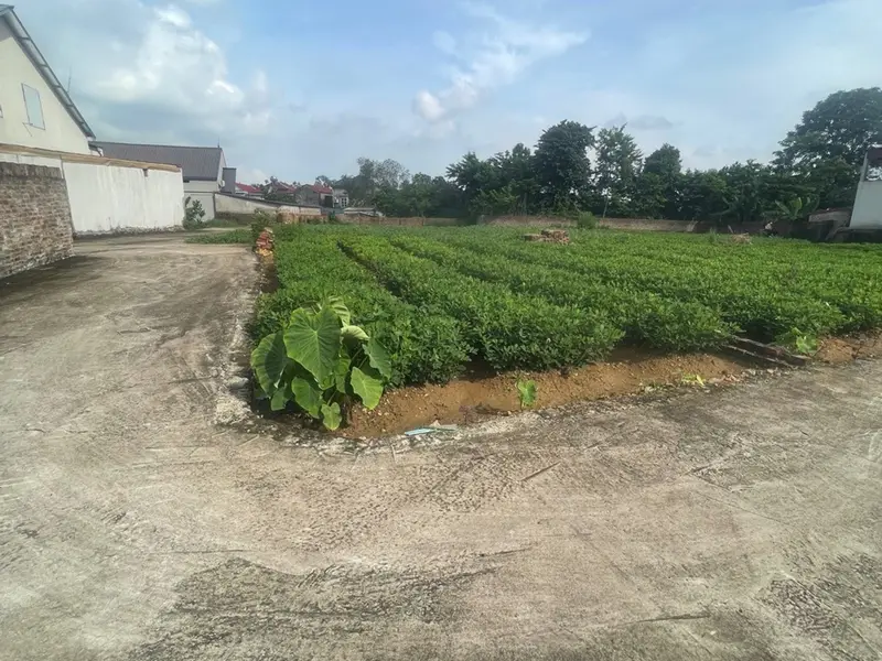 Đất Lô Góc ô tô vào tận nơi, Tiềm Năng Tại Sóc Sơn... Bán đất tại Sóc Sơn, Hà Nội 01