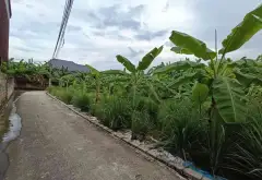 Đất thổ cư mặt tiền ô tô vào tận nơi tại Thôn 2 Kỳ Sơn, Thủy Nguyên... Bán đất tại Lê Ích Mộc, Hải Phòng 05