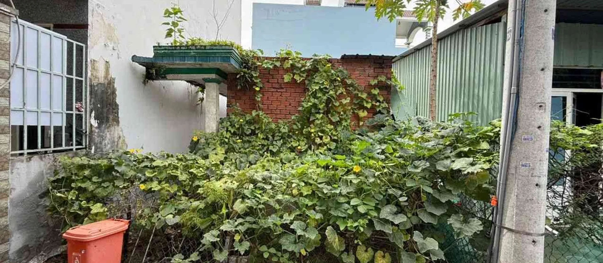 🏡BÁN ĐẤT 50M2 (5M x 10M) - CÁCH Đ. LÊ VĂN THỊNH CHỈ 100M– QUẬN 2– GẦN :CHỢ CÂY XOÀI -GIÁ 5.3 TỶ... Bán đất tại Cát Lái, Hồ Chí Minh 01
