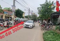 Bán Đất Lô Góc Thổ Cư Tại Sơn Đoài, Tân Minh, Sóc Sơn... Bán owner_side tại Sóc Sơn, Hà Nội 03