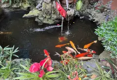 Nhà phân lớp đầu tư được Việt Hưng nhanh tay Alo em... Bán nhà riêng tại Việt Hưng, Hà Nội 15