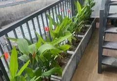 Nhà 2 tầng mặt tiền rộng hiếm tại trung tâm Hoàng Diệu - Đáng sở hữu ngay hôm nay... Bán nhà riêng tại Hải Châu, Đà Nẵng 15