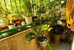 Bán căn hộ chung cư 3 phòng ngủ tại Gò Vấp cũ, diện tích 63.7m2, giá 3.7 tỷ đồng... Bán căn hộ chung cư tại An Nhơn, Hồ Chí Minh 10