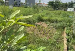 Lô Đất Vàng Tái Định Cư Điểm B, Thủy Nguyên - Nơi Đầu Tư Không Thể Bỏ Lỡ... Bán đất tại Thủy Nguyên, Hải Phòng 01