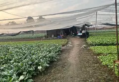Bán Đất 2 Mặt Tiền Xã Hóc Môn, Diện Tích 1828,3m2, Pháp Lý Sổ Hồng... Bán đất tại Hóc Môn, Hồ Chí Minh 04