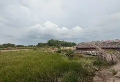 Bán đất khuôn viên lớn xã Bình Khánh, Cần Giờ, diện tích 17.436m2, giá 139 tỷ đồng... Bán đất tại Bình Chánh, Hồ Chí Minh 05