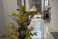 Nhà 4 tầng 31.5m2 giá 5.2 tỷ tại Trần Văn Quang... Bán nhà riêng tại Bảy Hiền, Hồ Chí Minh 01
