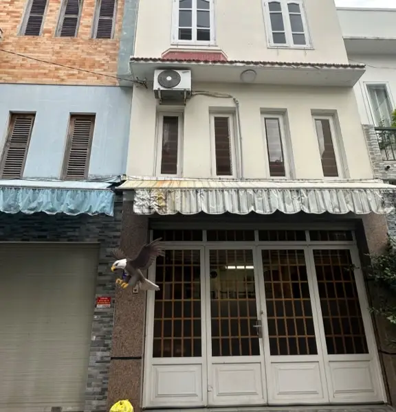 Nhà 4 tầng phố Bàu Cát, ô tô, giá sốc 8.5 tỷ... Bán nhà riêng tại Tân Bình, Hồ Chí Minh 01