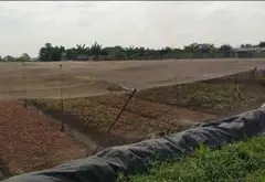 Quyền sở hữu đất mặt tiền rộng tại khu vực Phạm Văn Sáng, TP.HCM... Bán đất tại Bà Điểm, Hồ Chí Minh 03