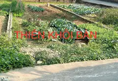 Đất Vàng 83m2 Giá Tốt, Cơ Hội Hiếm Tại Khu Vực Tiềm Năng... Bán đất tại Sóc Sơn, Hà Nội 05