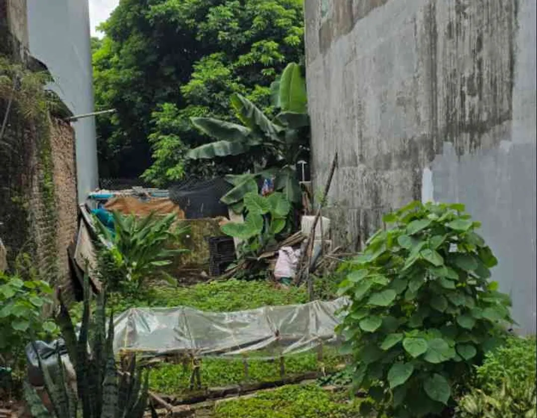 Bán đất vị trí giao thông thuận tiện gần bệnh viện lớn... Bán đất tại Sơn Đồng, Hà Nội 01