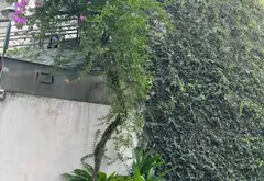 TOÀ NHÀ ĐẮT GIÁ LINH ĐÔNG DÒNG TIỀN 70TR/TH | 14x20M (216M²) - 5 TẦNG | KHAI THÁC 20 PHÒNG CHDV | H... Bán nhà riêng tại Hiệp Bình, Hồ Chí Minh 14