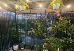 Nhà 2 Tầng Trung Tâm Kiến An - Thu Nhập Thụ Động Ngay Từ Hôm Nay... Bán nhà riêng tại Phù Liễn, Hải Phòng 14