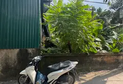 Cơ hội vàng sở hữu đất sát nhà văn hóa Vạn Phúc - Ô tô đỗ cửa, giá hợp lý... Bán nhà riêng tại Nam Phù, Hà Nội 15