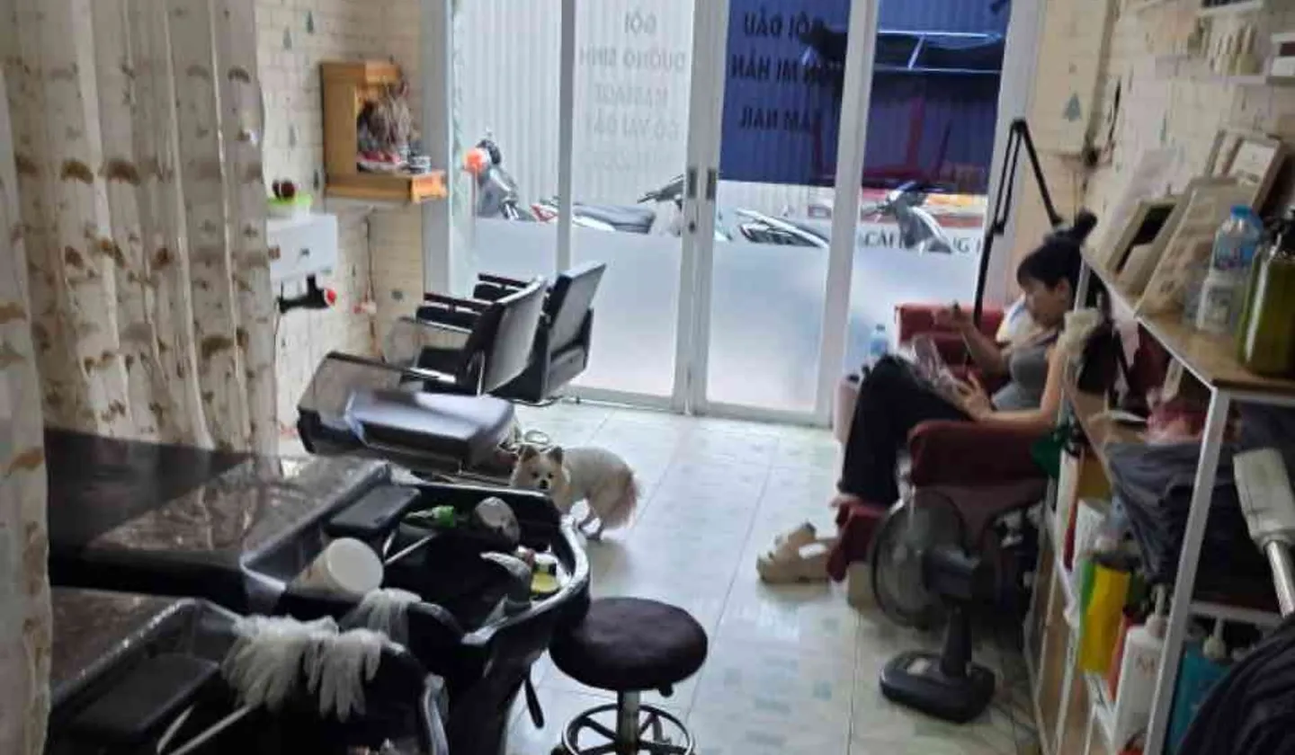 SIÊU PHẨM TRẦN QUỐC TOẢN - 10M RA PHỐ - TT THỦ ĐÔ - Ô TÔ NGỦ TRONG NHÀ - TIỆN ÍCH ĐỈNH... Bán nhà riêng tại Cửa Nam, Hà Nội 01