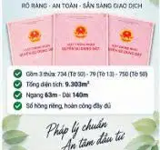 9.303M² NHÀ VƯỜN + KHO XƯỞNG – PHẠM VĂN CỘI, CỦ CHI – GIÁ 130 TỶ... Bán nhà mặt phố tại Phú Hòa Đông, Hồ Chí Minh 03