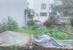 Cơ Hội Đầu Tư Đất Nền Tại Vị Trí Đắc Địa!... Bán đất tại Nội Bài, Hà Nội 09