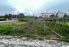 💥HIẾM 💥ĐẤT PHÂN LÔ MẶT TIỀN RỘNG, Ô TÔ NGỦ TRONG ĐẤT - XÃ HOÀN LONG- TỈNH HƯNG YÊN 💥💥💥... Bán đất tại Hoàn Long, Hưng Yên 02