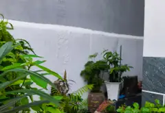 💰 7.3 TỶ | BIỆT THỰ MINI LÊ TRỌNG TẤN – TÂN PHÚ
🏡 77m² – ngang 9m bề thế | 3PN | nhà đẹp, chính c... Bán owner_side tại Tây Thạnh, Hồ Chí Minh 20