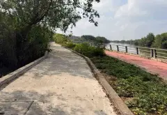 BÁN ĐẤT MẶT TIỀN VIEW SÔNG PHƯỚC KIỂNG CỰC HIẾM. DTCN 937M. 16 X 60. CHỈ 32 Tỷ... Bán đất tại Nhà Bè, Hồ Chí Minh 09