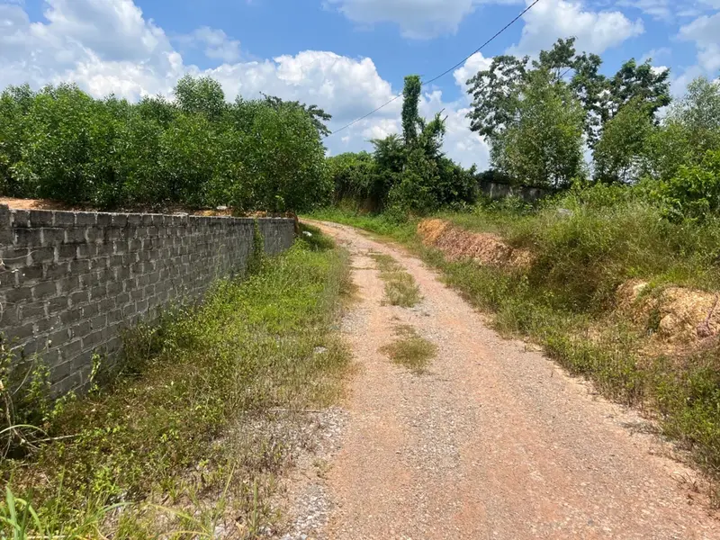Bán đất 425m² tại Đông Sơn, mặt tiền 8m, có 72m² thổ cư... Bán đất tại Yên Thế, Bắc Ninh 01