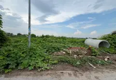 Bán đất 110m2 mặt tỉnh lộ 281 tại phường Ninh Xá, Bắc Ninh... Bán đất tại Ninh Xá, Bắc Ninh 08