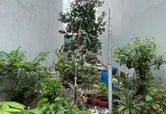 Lô Đất Đẹp Phường Bình Tân - Cơ Hội Vàng Sở Hữu Ngay 54m² Giá Tốt... Bán đất tại Bình Tân, Hồ Chí Minh 06