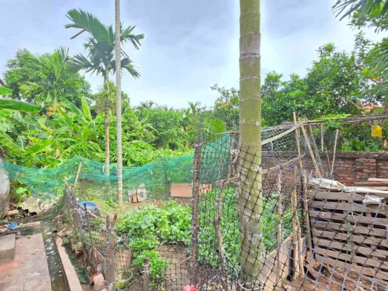 BÁN ĐẤT THỔ CƯ CẠNH VINHOMES OCEAN PARK 189M ,giá chỉ hơn 8 tỷ... Bán đất tại Như Quỳnh, Hưng Yên 01