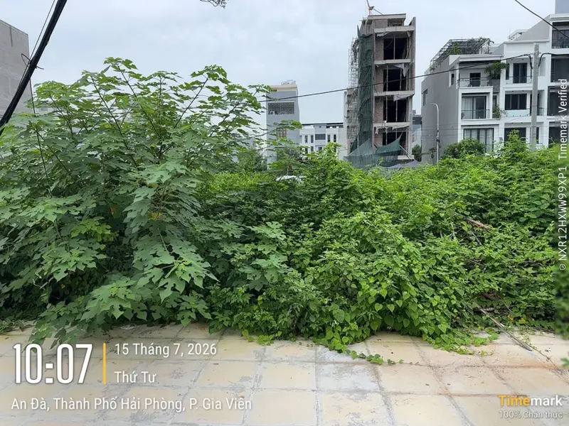 Lô đất hấp dẫn tại khu vực Lê Hồng Phong với vị trí thuận tiện... Bán đất tại Gia Viên, Hải Phòng 01