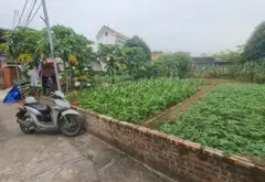 Đất mặt tiền rộng ô tô vào tận nơi, cơ hội đầu tư song Liễu... Bán đất tại Song Liễu, Bắc Ninh 04