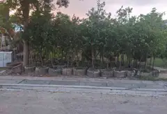 Cơ hội sở hữu lô góc đất 3 mặt thoáng tại Văn Giang, Hưng Yên cực hiếm... Bán đất tại Văn Giang, Hưng Yên 01