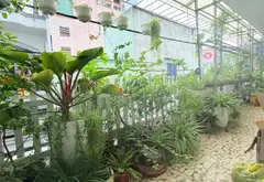 Nhà mặt phố góc quận 11, 87m2, 10 phòng, giá tốt... Bán nhà mặt phố tại Hòa Bình, Hồ Chí Minh 07