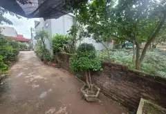 Lô đất nhỏ xinh, ô tô đỗ ngay cửa, giá cực hấp dẫn... Bán đất tại Văn Giang, Hưng Yên 08