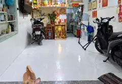 Bán nhà hậu giang 4 tầng khu Bình Phú, Quận 6, diện tích 3x10 m², giá 5.5 tỷ... Bán nhà riêng tại Bình Phú, Hồ Chí Minh 01