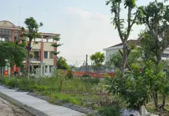Đất nền 100m2 hướng Tây Nam tại Phường Nếnh – Tiềm năng phát triển vượt trội... Bán đất tại Nếnh, Bắc Ninh 10