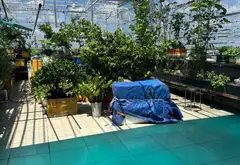 🔥 SIÊU PHẨM CHDV - 360M2 - 1300M2 SÀN - 69 PHÒNG KHÉP KÍN FULL NỘI THẤT + THANG MÁY - NỞ HẬU TÀI... Bán chung cư mini tại Bình Hưng Hòa, Hồ Chí Minh 04