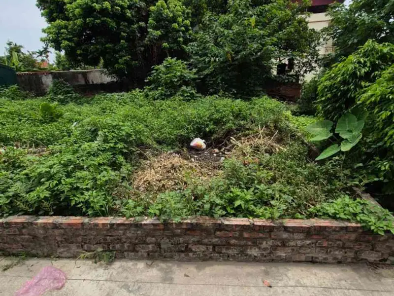 Bán đất phân lô xã Hồng Vân, Hà Nội, ô tô đỗ cửa, gần chợ Vạn Phúc 3... Bán đất tại Hồng Vân, Hà Nội 01