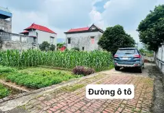 Đất Sát Kề Trung Tâm - Diện Tích Lý Tưởng, Đường Ô Tô Thông... Bán đất tại Sóc Sơn, Hà Nội 03