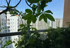 Bán căn hộ 2 phòng ngủ tầng 20 chung cư Mizuki Bình Chánh Hồ Chí Minh nhỉnh 4 Tỷ... Bán căn hộ chung cư tại Bình Hưng, Hồ Chí Minh 09