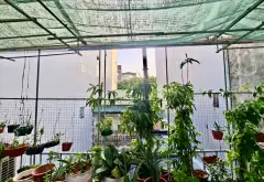 SIÊU PHẨM ĐẤT VÀNG BA ĐÌNH • MẶT PHỐ 180M² • MT 7.6M • GIÁ ĐẦU TƯ... Bán đất tại Ba Đình, Hà Nội 07