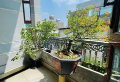 CHỐT THÁNG 2,5 TỶ – NHÀ 3 LẦU Q12 – 70M² – CHO THUÊ 10TR/THÁNG – VÕ THỊ PHẢI, GẦN LÊ VĂN KHƯƠNG... Bán nhà riêng tại Thới An, Hồ Chí Minh 08