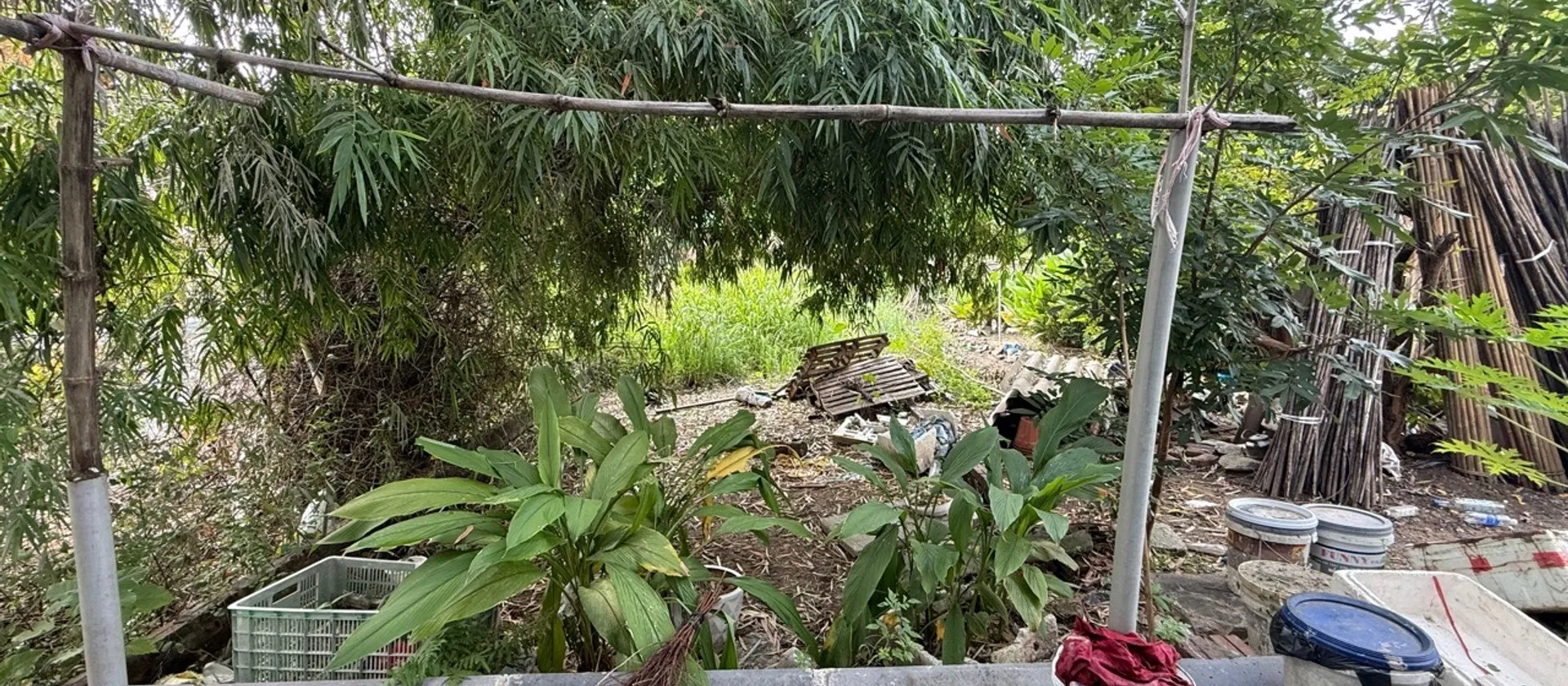 Bán đất thổ cư 77,6 m² tại Thôn Viên Nội - Phúc Thịnh, Hà Nội, mặt tiền 4,3m thuận tiện xây dựng... Bán đất tại Phúc Thịnh, Hà Nội 01