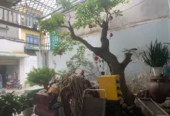 Bán nhà mặt phố rộng 8m tại Phường Long Trường, Quận 9 TP.HCM... Bán nhà mặt phố tại Long Trường, Hồ Chí Minh 02