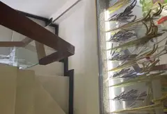 Nhà mặt phố Bàu Cát sầm uất, vừa ở vừa kinh doanh tuyệt vời... Bán nhà mặt phố tại Tân Bình, Hồ Chí Minh 01